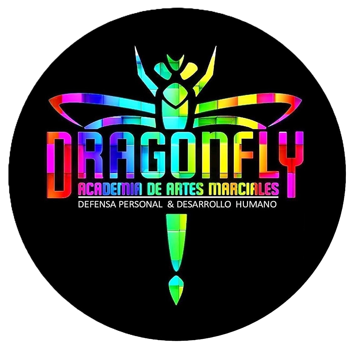 Logo de Academia Dragonfly